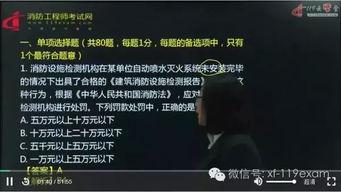 一级视频免费在线观看,免费在线观看一级视频的视听盛宴