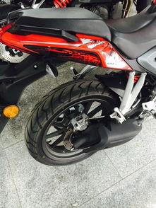 小黄龙250测评视频,性能解析与驾驶体验深度剖析